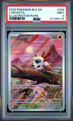 Larvesta PSA 9 slab