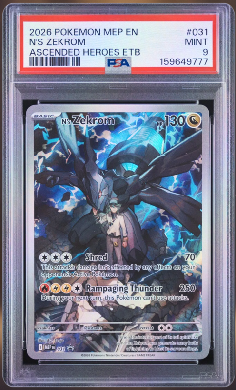 N's Zekrom PSA 9 slab